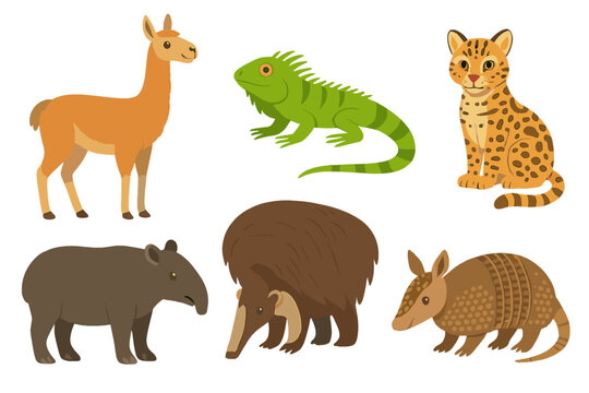 South American Animals Collection