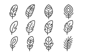 Set of 12 thin line feather icons on a gray background © Andrei