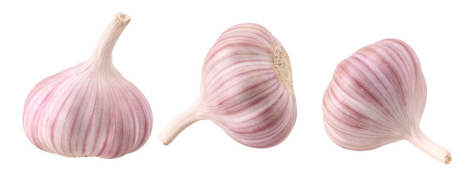 garlic isolated, transparent PNG, PNG format, Collection, set