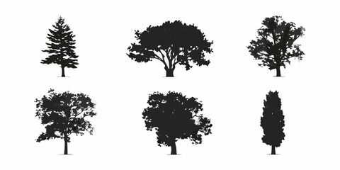 Silhouettes of various trees and foliage against a plain white background