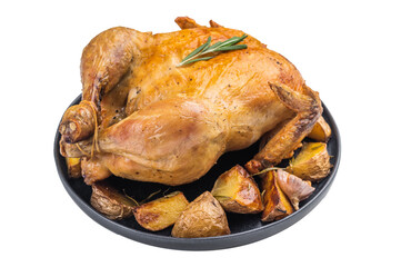 roasted chicken on a white background