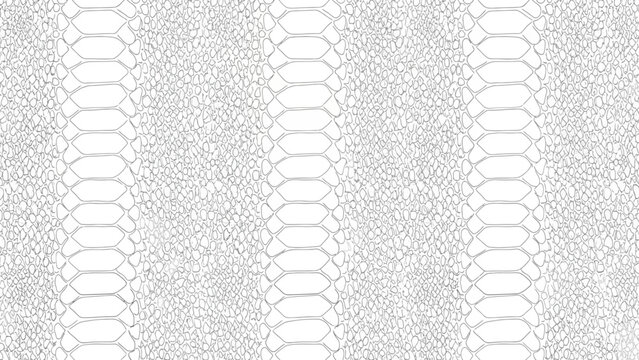 Seamless white snake skin pattern texture for backgrounds