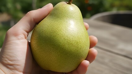 Hand holding a ripe green pear outdoors.