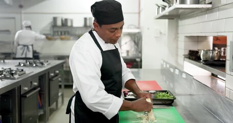 Chef, kitchen and man shred cheese for catering, lunch or cooking for gastronomy in restaurant. Parmesan, tools and mature worker grating for cuisine, protein and meal prep with food ingredients