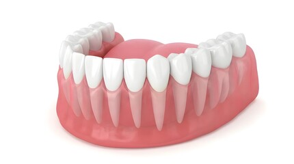 Obraz premium 3D Rendering of Human Lower Jaw with Teeth and Gums – Dental Anatomy Model for Educational Use