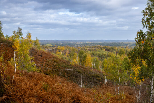 Surrey Heath autumn heathland landscape viewed from Heatherside with views across Bisley Ranges and Lightwater
