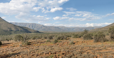 red soil in valley surrounded by mountains covered with Cape Thicket vegetation, near Petersburg, Karoo, South Africa
