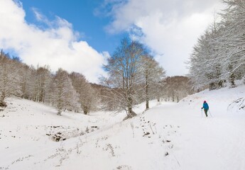 Mount Autore Livata (Subiaco, Italy) - The snow capped peaks mountains in the province of Roma, Lazio region, in Simbruini mounts. Here a beautiful white landscape.