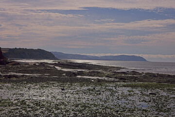 A moody, contre jour, scenic of the beach and coast at Watchet at low tide, Somerset, UK.