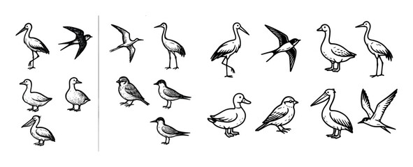 Fototapeta premium Migratory Birds Icons