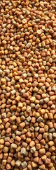 Fototapeta premium Biomass fuel pellets in a pile, representing organic renewable energy source, waste, biomass
