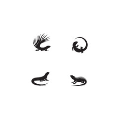  Arabian Spiny-tailed Lizard