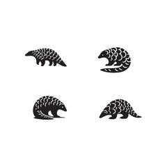  Pangolin.