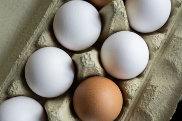 Fresh eggs in organic carton box on the farm. Food concept.