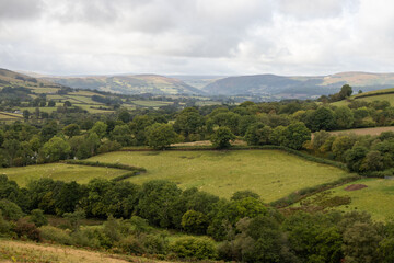 Rolling Welsh Countryside with Fields and Woodland Looking Toward Rhayader in the Cambrian Mountains