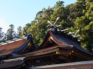 観光名所熊野速玉大社の神社の屋根の風景