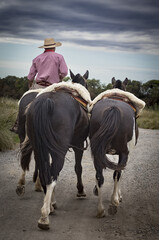 Gaucho, Patagonie Argentine 