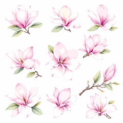 Seamless pink lily floral pattern with soft spring flowers and natural decorative design