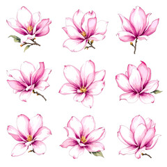 Seamless vector illustration of a blooming pink lily floral pattern with purple petals and green leaves for a spring garden nature wallpaper design
