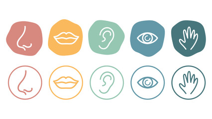 Vector set of five senses icons showing sight, hearing, smell, taste and touch. Two pictogram styles in a modern minimal design for education and sensory concepts