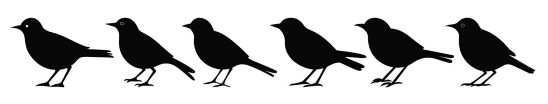 nightingale silhouette clipart bundle