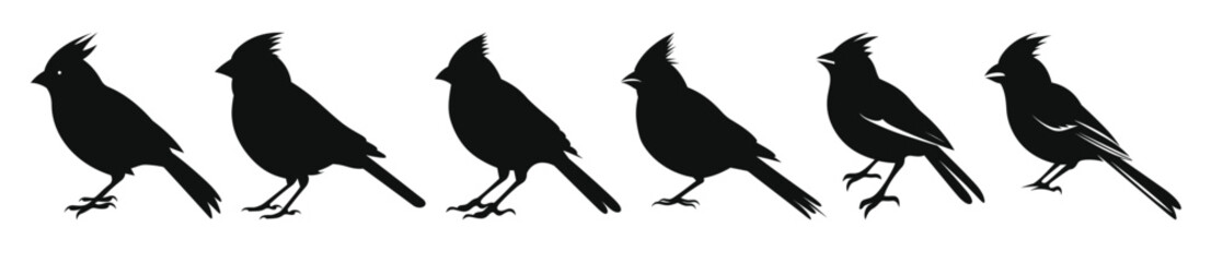 northern cardinal bird silhouettes vector set set