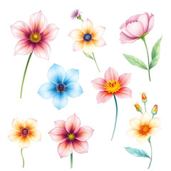 set of vector flowers illustration pack, botanical floral vector artwork collection, hand drawn flower vector design elements, decorative floral vector graphics set, colorful botanical flower vectors 