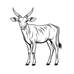 Naklejka premium Majestic Bongo Wild | Clean, isolated vector art for creative projects.