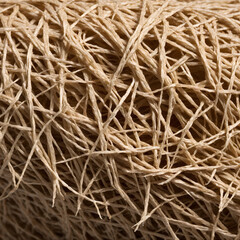 Natural Strand Material Texture Overlay . Suitable for tactile overlays, print applications, and realistic material backgrounds requiring depth and physical authenticity.