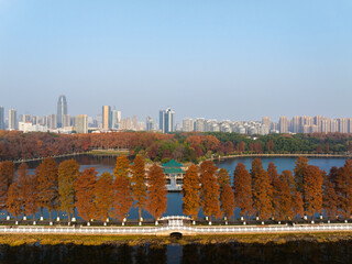 Fototapeta premium Autumn Scenery of East Lake Scenic Area, Wuhan, Hubei, China