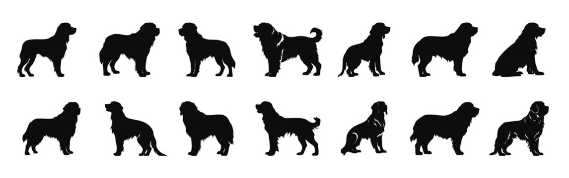 saint bernard silhouette clipart bundle