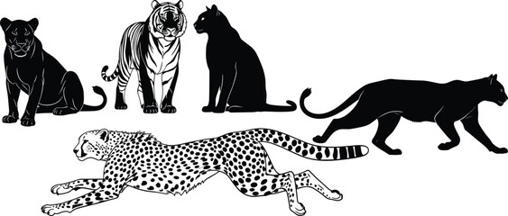 Big cat silhouettes and illustrations, lioness, tiger, panther, cheetah, cougar, wildlife icons, animal posture, feline comparison, vector set © Santo's World