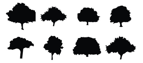  tree silhouettes vector  © Ualj