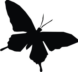 butterfly silhouette vector © abdul