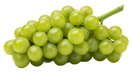 Isolated bunch of green grapes, a healthy fruit rich with antioxidants and vitamins A and C