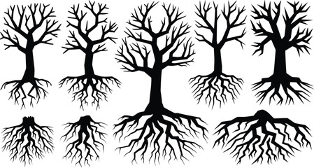 Obraz premium Dead Tree Silhouettes with Roots and Bare Branches Vector Collection