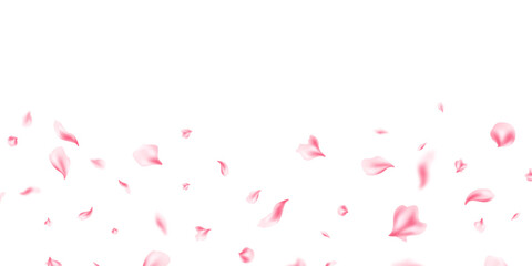 Petals falling on abstract floral background with beautiful petal pattern on greeting card. Vector illustration. © HNKz