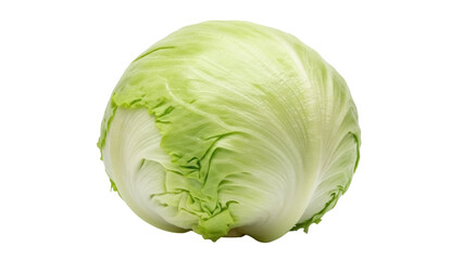 Fototapeta premium Isolated Iceberg Lettuce Head for Fresh Food, Salad Ingredient, Healthy Vegetable