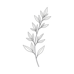 Naklejka premium Elegant minimalist illustration of a delicate leafy branch capturing natural simplicity and