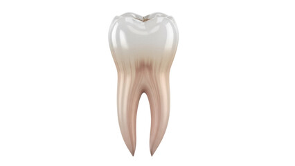 Isolated molar tooth, dentistry healthcare symbol, a tooth model used in oral hygiene, teeth icon