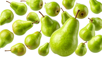 Floating Green Conference Pear Collection PNG Background.