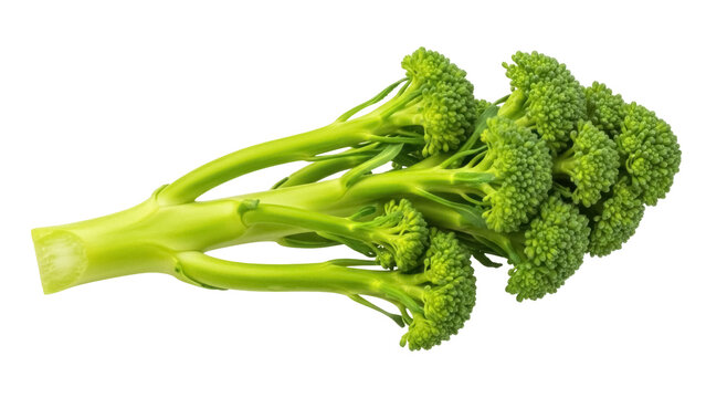 Isolated fresh tenderstem broccoli lying on a surface, green vegetable high in vitamins