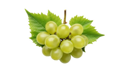 Isolated bunch of fresh green grapes, healthy eating, seasonal fruit, vitamin source
