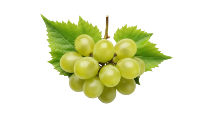 Isolated bunch of fresh green grapes, healthy eating, seasonal fruit, vitamin source