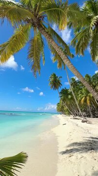 beautiful Tropical Beach with Sparkling Blue Waters, Powdery White Sands, and Graceful Palms Swaying in the Warm Breeze
