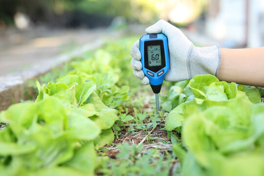 Agronomist checking soil ph level using digital meter in organic garden