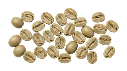 Isolated group of raw green coffee beans for roasting, uncooked, unprocessed seeds