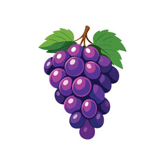 bunch of grapes