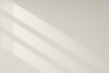 Minimal White Wall with Clear Blinds Window Light Shadows