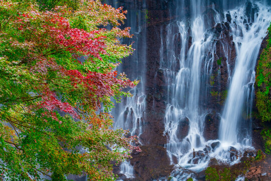 Shiraito waterfall in Autumn, Japan , out of focus background